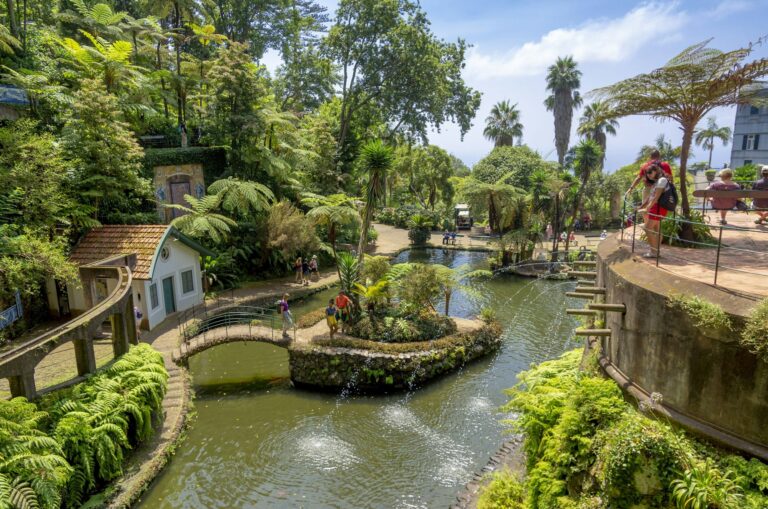 Espelho d’Água em Jardins : Tranquilidade e Reflexão