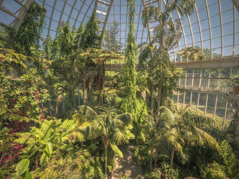 Plantas Tropicais em Jardins de Inverno: Exotismo e Diversidade